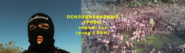 Альфа ПВП Нефтегорск