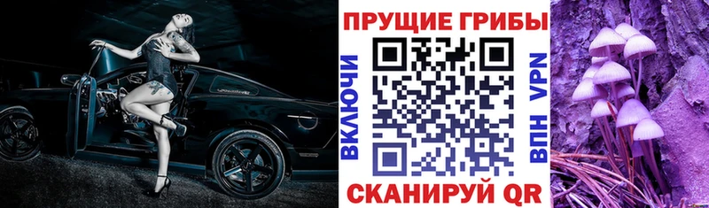 Купить закладки  Новая Усмань  Галлюциногенные грибы Psilocybe 